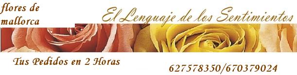 Floristerias en Mallorca